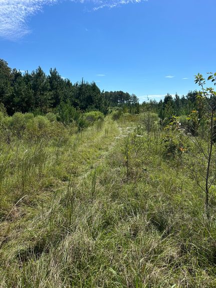 Land for sale in Holmes County, Mississippi