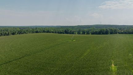 Farm and Ranch for sale in Webster County, Georgia