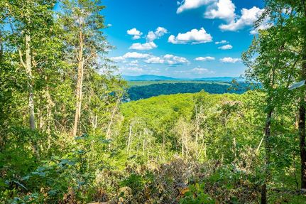 Undeveloped Land for sale in Catoosa County, Georgia