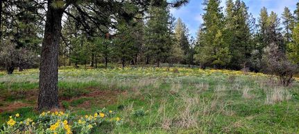 Farm and Ranch for sale in Spokane County, Washington