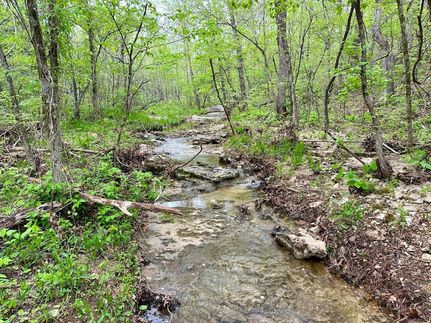 Farm and Ranch for sale in Carter County, Missouri