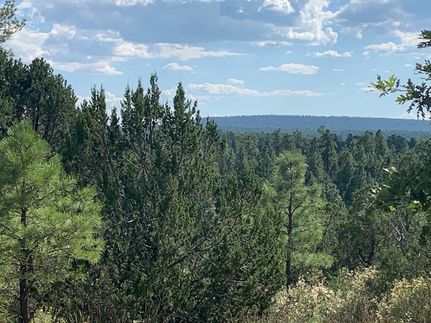 Recreational Property for sale in Coconino County, Arizona