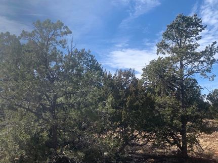 Recreational Property for sale in Coconino County, Arizona