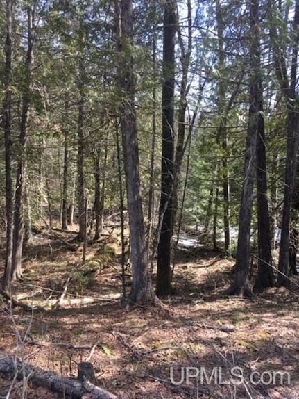 Farm and Ranch for sale in Iron County, Michigan