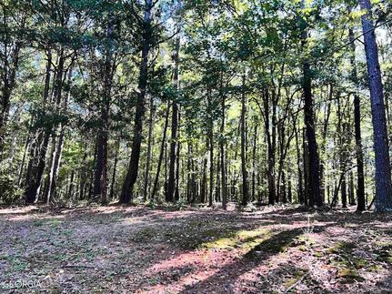 Undeveloped Land for sale in Spalding County, Georgia
