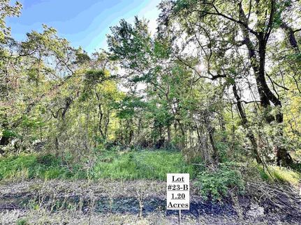 Farm and Ranch for sale in Ascension Parish, Louisiana