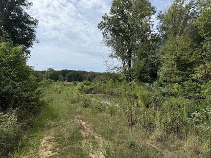 Timberland Property for sale in Benton County, Tennessee