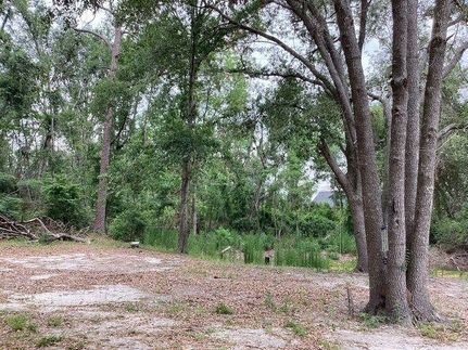Farm and Ranch for sale in Madison County, Florida