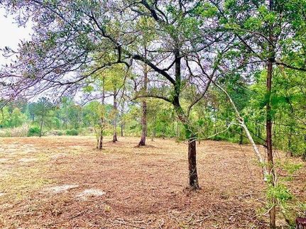 Timberland Property for sale in Baldwin County, Alabama