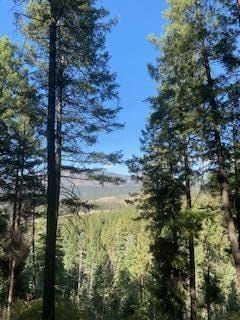 Farm and Ranch for sale in Sandoval County, New Mexico