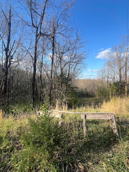 Farm and Ranch for sale in Christian County, Missouri