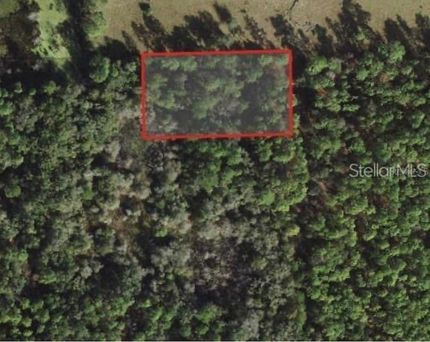 Undeveloped Land for sale in Citrus County, Florida