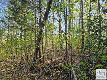 Farm and Ranch for sale in Henry County, Virginia