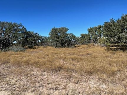 Farm and Ranch for sale in McCulloch County, Texas