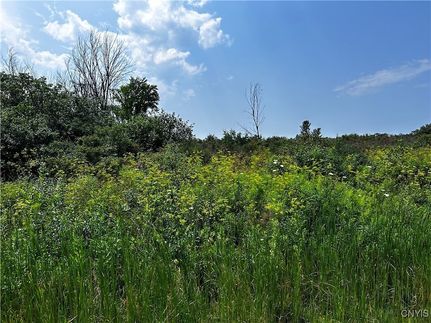 Farm and Ranch for sale in Jefferson County, New York