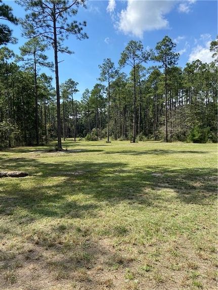 Timberland Property for sale in Saint Tammany Parish, Louisiana