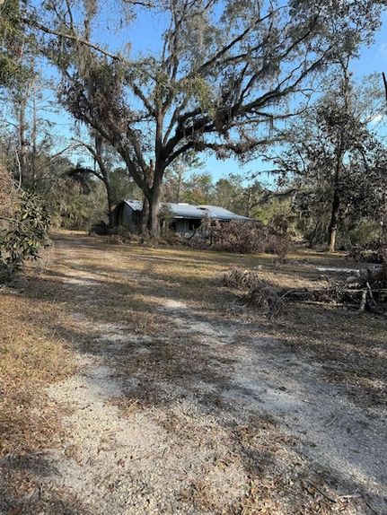 Land for sale in Taylor County, Florida