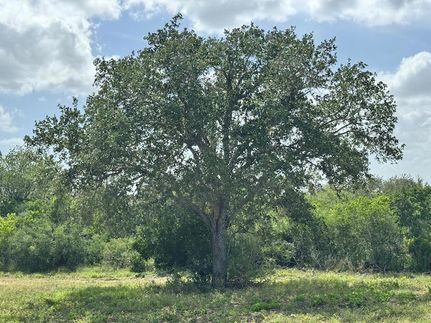 Recreational Property for sale in Bee County, Texas