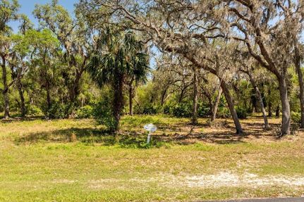 Undeveloped Land for sale in Lake County, Florida