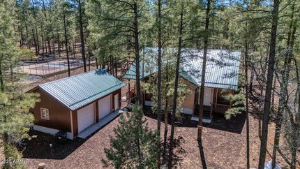 Farm and Ranch for sale in Navajo County, Arizona