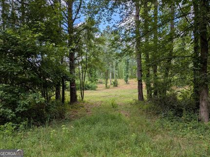 Timberland Property for sale in Madison County, Georgia