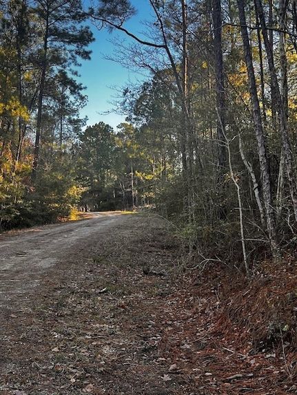 Farm and Ranch for sale in Jasper County, Texas