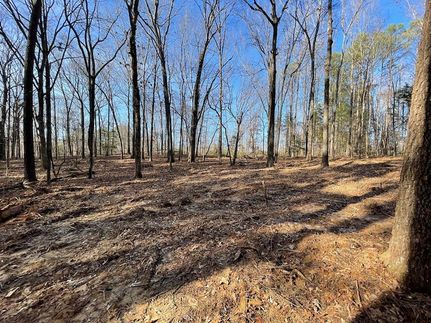 Recreational Property for sale in Carroll County, Tennessee