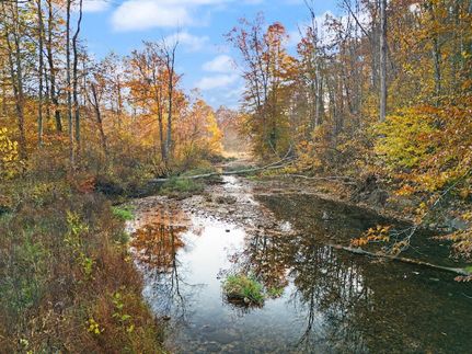 Timberland Property for sale in Pulaski County, Kentucky