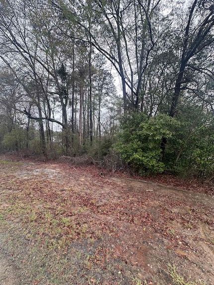 Timberland Property for sale in Covington County, Alabama