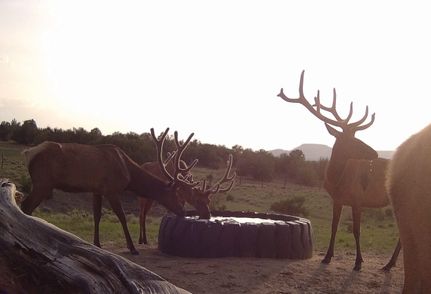 Hunting Property for sale in Cibola County, New Mexico