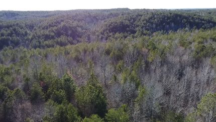 Undeveloped Land for sale in Fayette County, Alabama