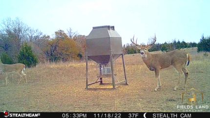 Timberland Property for sale in Creek County, Oklahoma