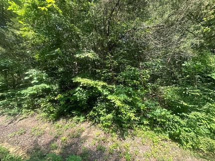 Recreational Property for sale in Clay County, Tennessee