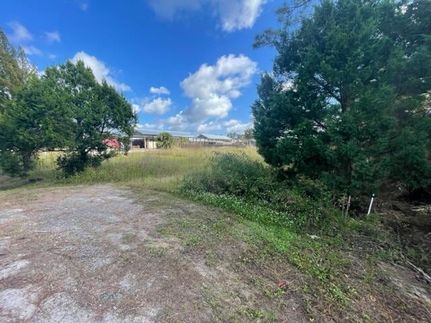 Farm and Ranch for sale in Gulf County, Florida