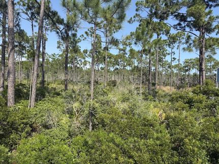 Undeveloped Land for sale in Gulf County, Florida