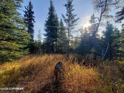 Timberland Property for sale in Kenai Peninsula Borough, Alaska