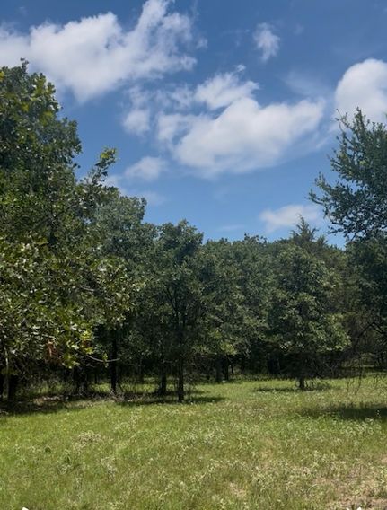 Land for sale in Wise County, Texas