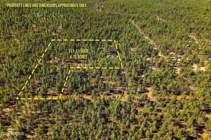 Farm and Ranch for sale in Navajo County, Arizona