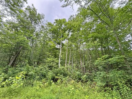 Farm and Ranch for sale in Summers County, West Virginia