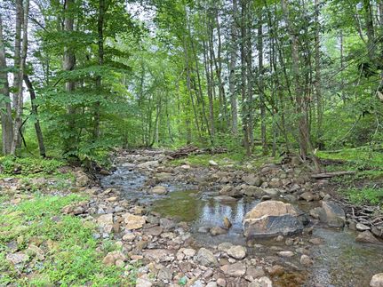 Recreational Property for sale in Summers County, West Virginia