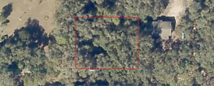 Timberland Property for sale in Marion County, Florida
