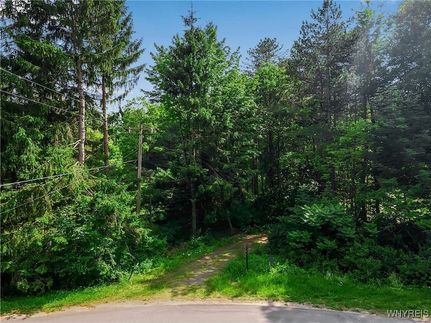 Undeveloped Land for sale in Erie County, New York