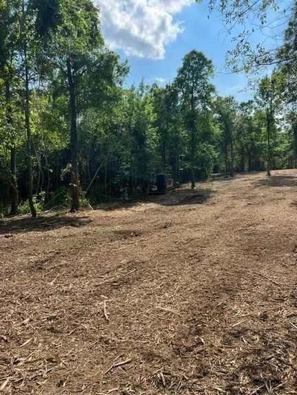 Farm and Ranch for sale in Pearl River County, Mississippi