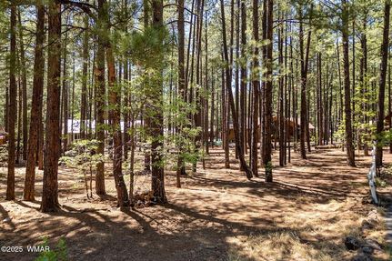 Farm and Ranch for sale in Navajo County, Arizona