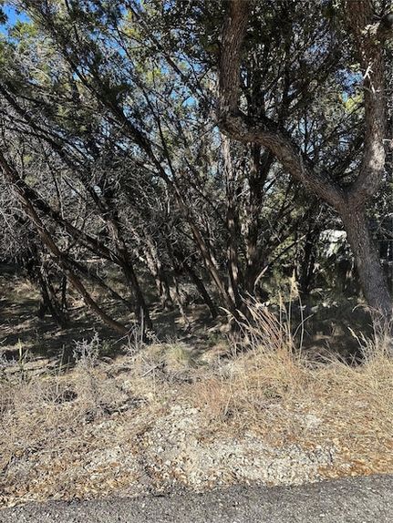 Farm and Ranch for sale in Travis County, Texas