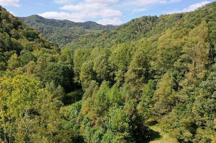 Undeveloped Land for sale in Wyoming County, West Virginia