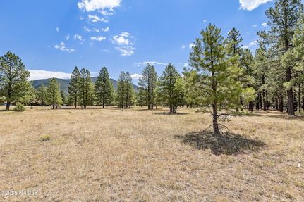 Lakefront Property for sale in Coconino County, Arizona
