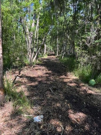 Farm and Ranch for sale in Saint Tammany Parish, Louisiana