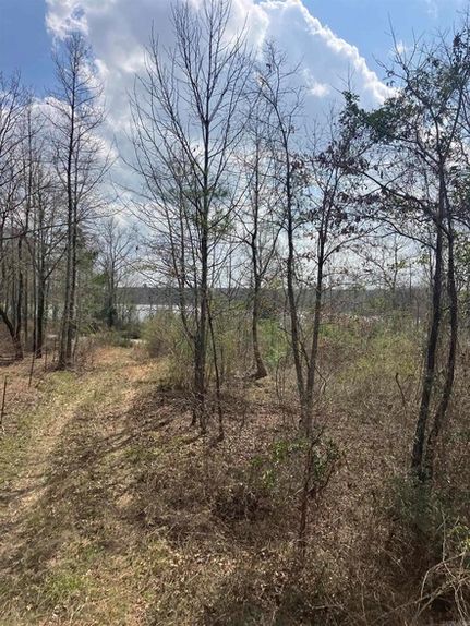 Recreational Property for sale in Hempstead County, Arkansas