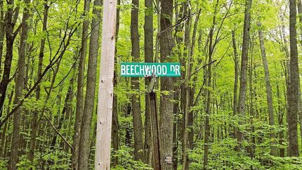 Farm and Ranch for sale in Roscommon County, Michigan